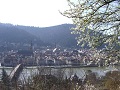 Heidelberger Altstadt